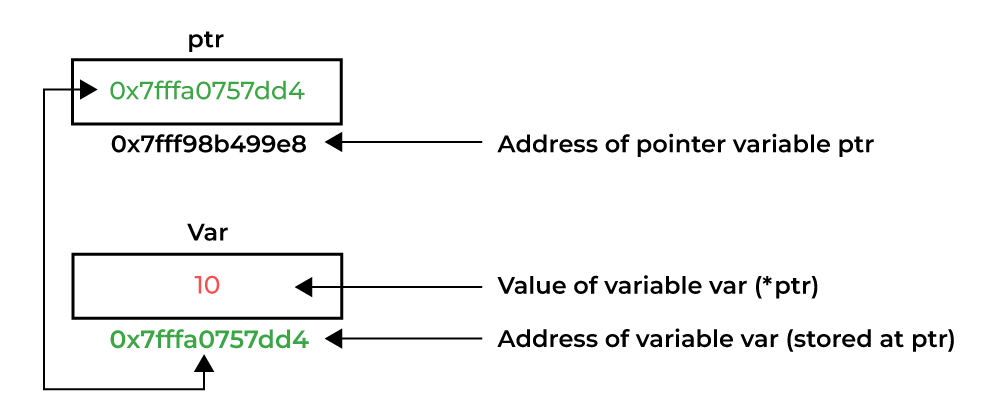 Memory Layout